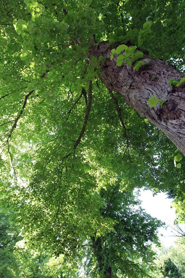 Bergenshofje Lägenhet Exteriör bild
